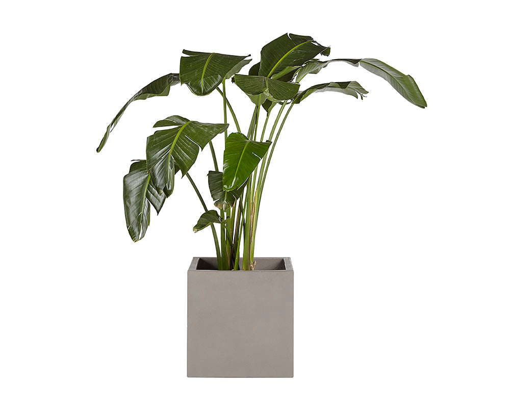 Sunpan Calix Planter