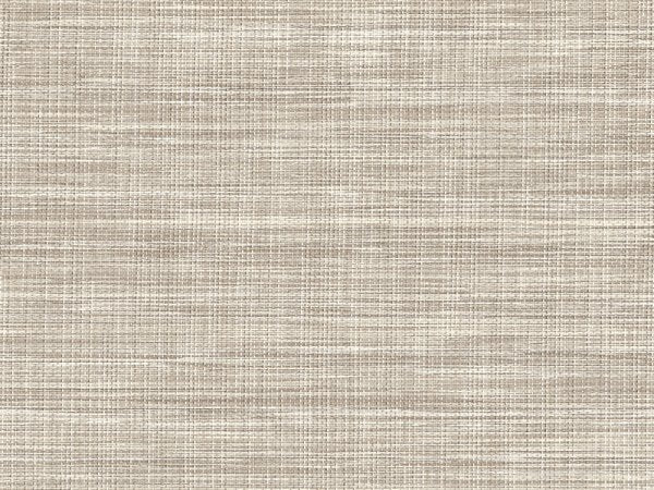Textured WhiteFossil
