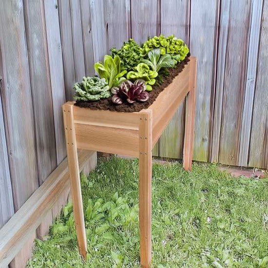 All Things Cedar 4-ft Planter Box on Legs
