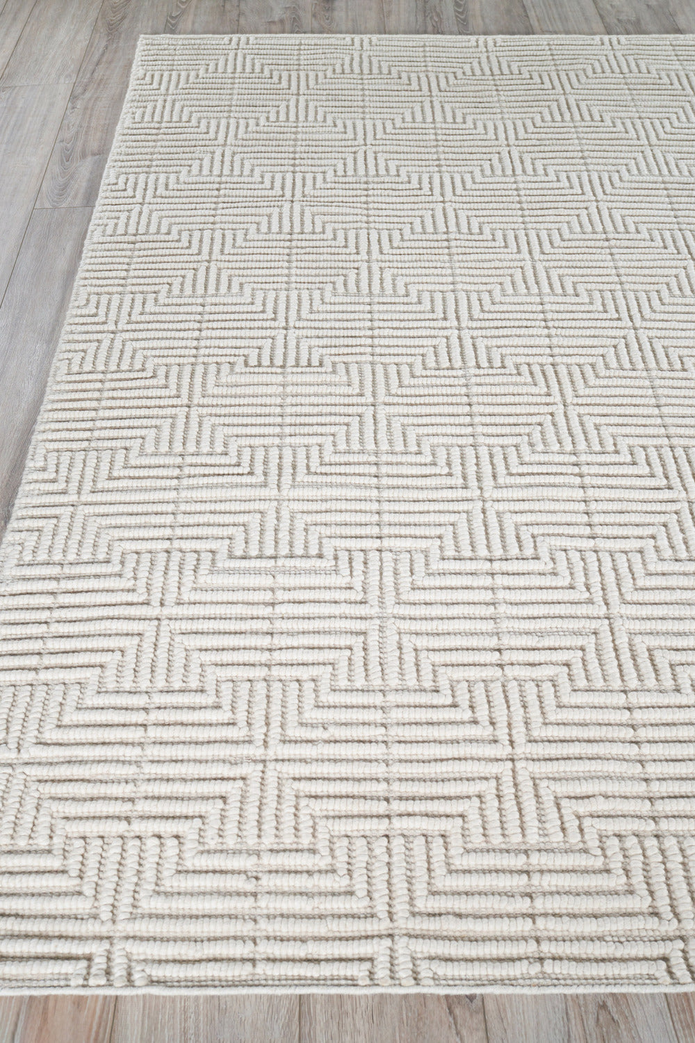 Exquisite Rugs Manzoni Handmade Hand Loomed Viscose and Cotton Area Rug