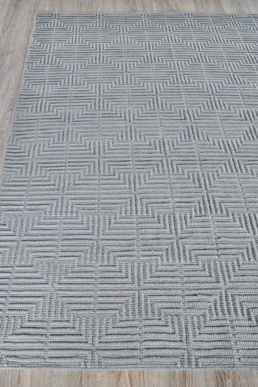 Exquisite Rugs Manzoni Handmade Hand Loomed Viscose and Cotton Area Rug