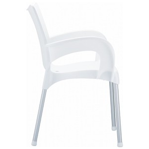 Compamia Romeo Resin Dining Arm Chair - Set of 2