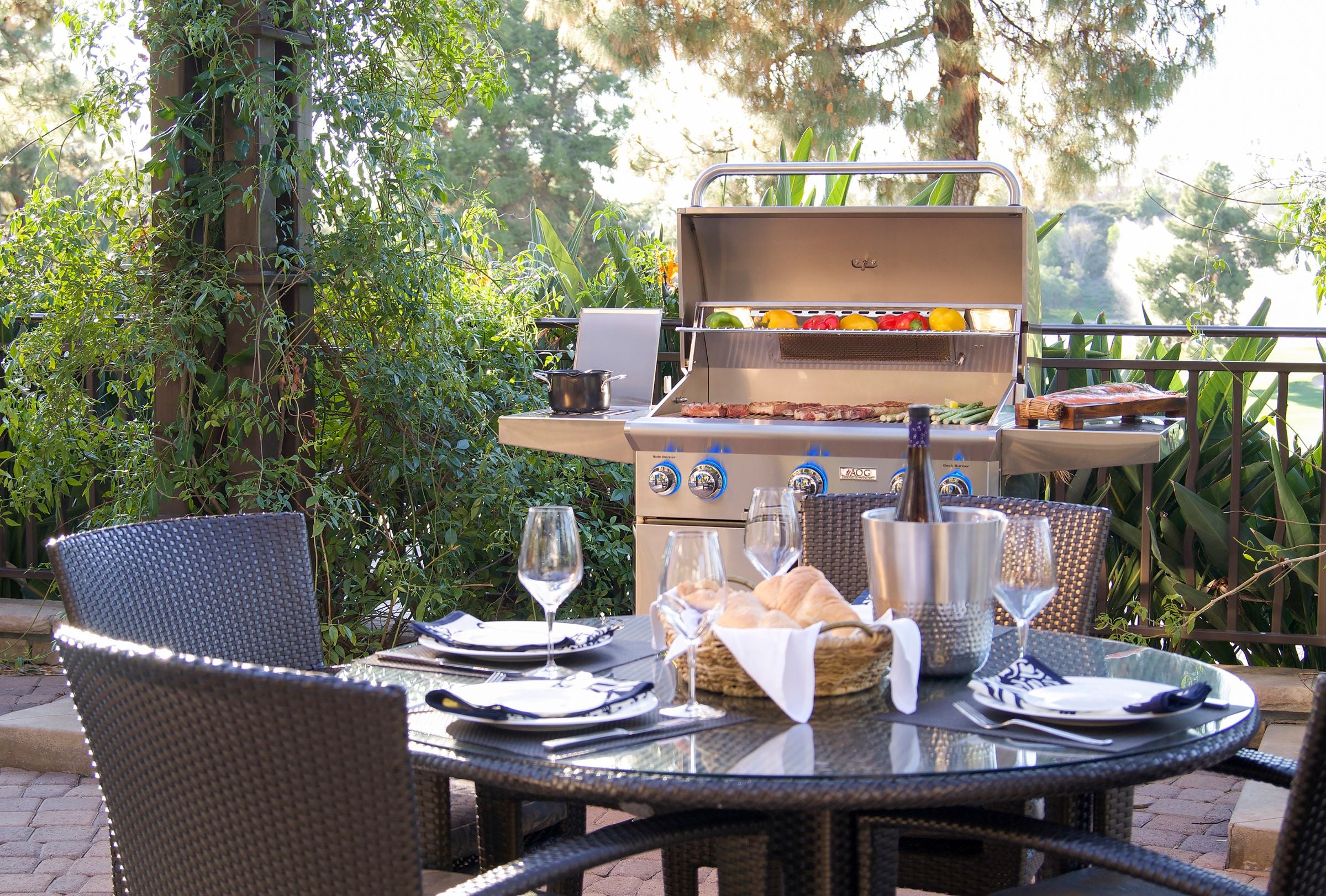 American Outdoor Grill 30 L-Series Portable Grill