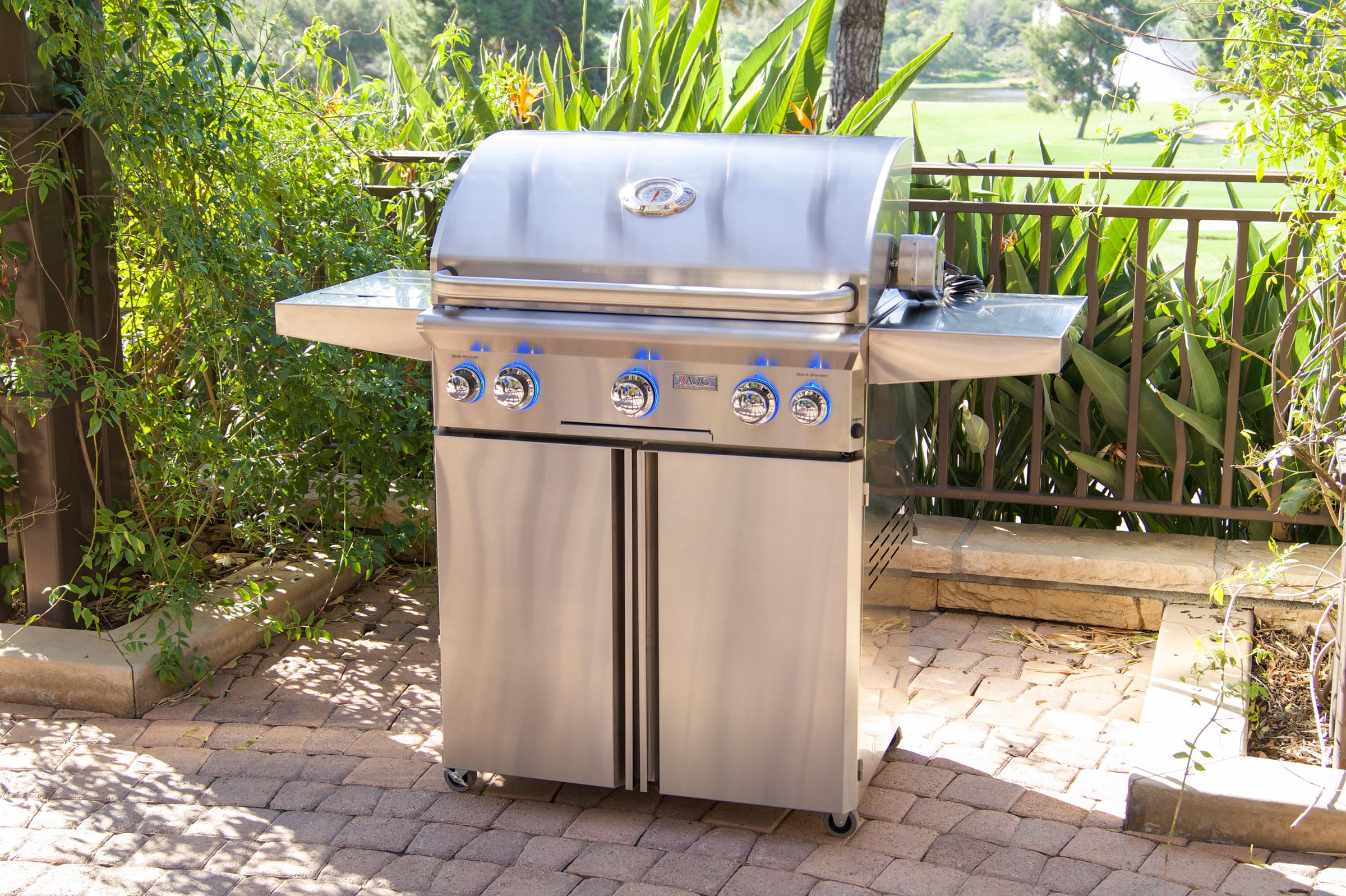 American Outdoor Grill 30 L-Series Portable Grill