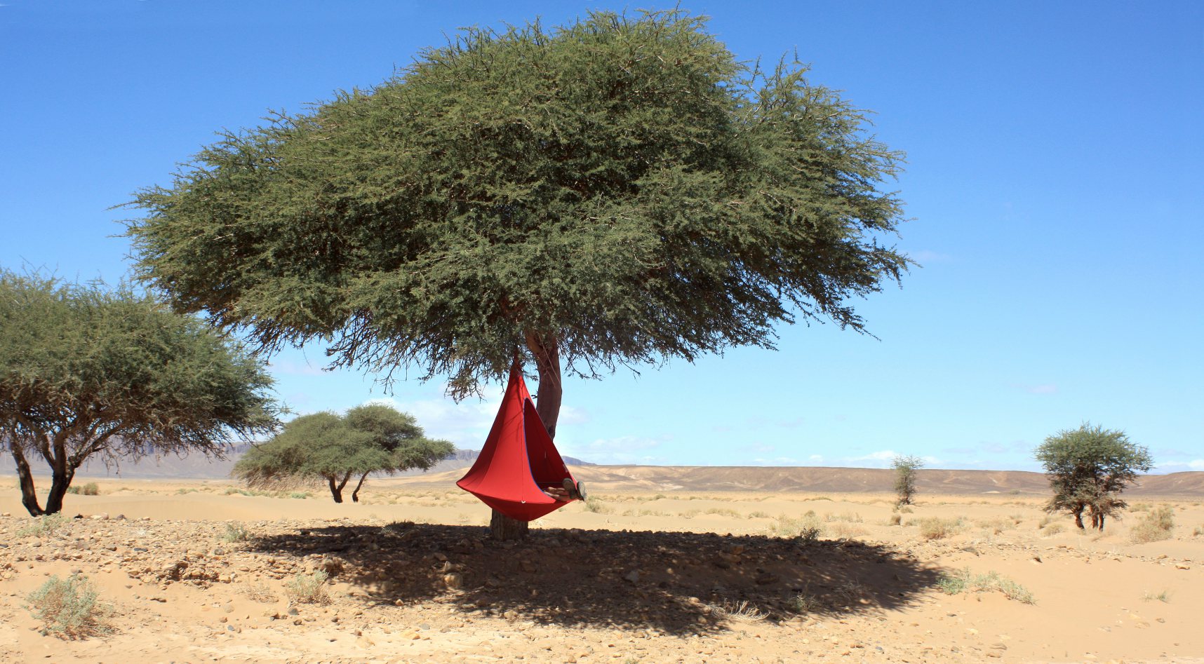 Vivere Single Cacoon- Natural White/Leaf Green/Chili Red/Taupe/Turquoise/Sky Blue/Mango