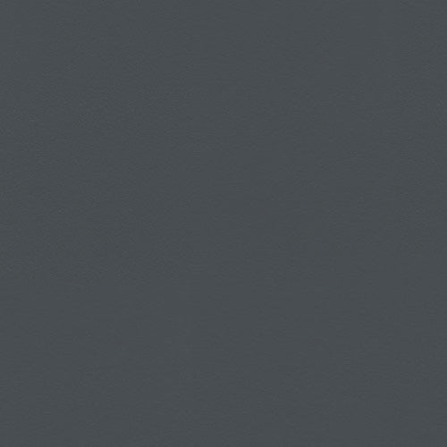 SnowCast Horizon