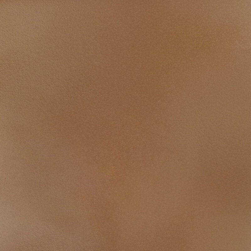 Liquid PropaneAshPlug & Play Electronic Ignition