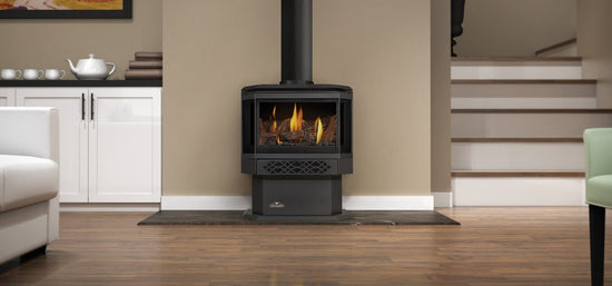 Napoleon Hearth Haliburton™ Direct Vent Gas Stove