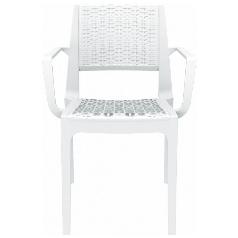 Compamia Capri Resin Dining Arm Chair - Set of 2