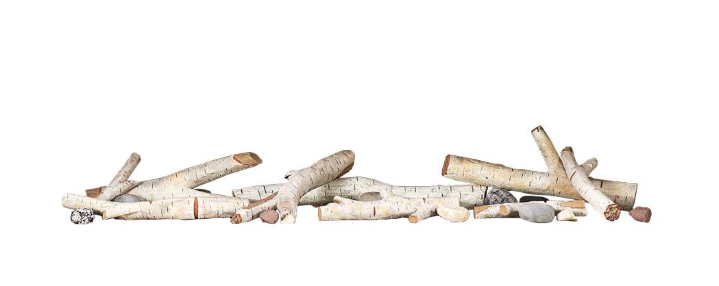 Napoleon Hearth Birch Log Kit - Medium