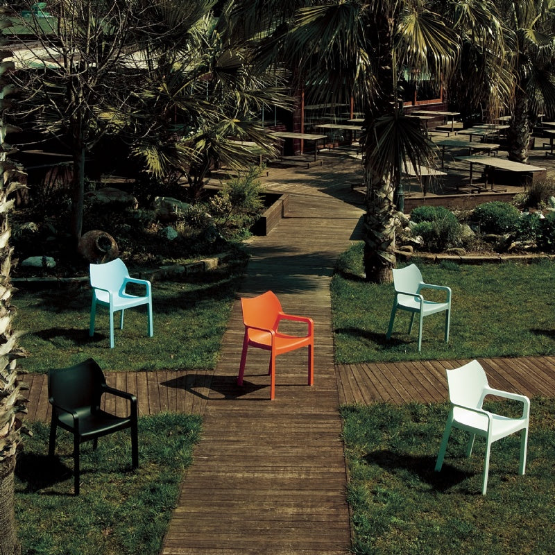 Compamia Diva Resin Outdoor Dining Arm Chair - Set of 2