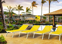 Compamia Pacific Sling Chaise Lounge - Set of Two