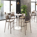 Zuo Modern Ace Barstool - Set of 2