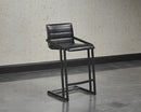 Sunpan Webber Counter Stool in Cantina Black/Saddle - Set of 2