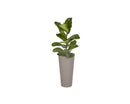 Sunpan Arbor Planter - Small