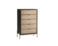 Sunpan Avida Chest in Gold and Black/Natural