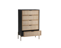 Sunpan Avida Chest in Gold and Black/Natural