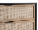 Sunpan Avida Chest in Gold and Black/Natural