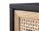 Sunpan Avida Sideboard in Gold And Black/Natural - Large