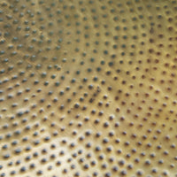 Zuo Modern Larache Coffee Table Gold