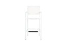 Sunset West Naples Sling Barstool