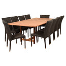 International Home Miami Amazonia Catania 11 Piece Rectangular Patio Dining Set