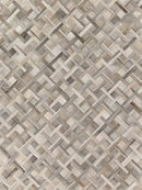 Exquisite Rugs Natural Hide Cowhide Silver Area Rug