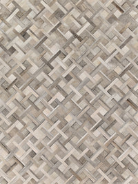Exquisite Rugs Natural Hide Cowhide Silver Area Rug