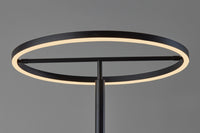 Adesso Falcon LED Floor Lamp With Smart Switch