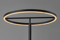 Adesso Falcon LED Floor Lamp With Smart Switch