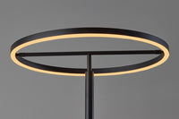 Adesso Falcon LED Floor Lamp With Smart Switch