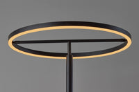 Adesso Falcon LED Floor Lamp With Smart Switch