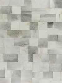 Exquisite Rugs Natural Hide Cowhide Silver Area Rug
