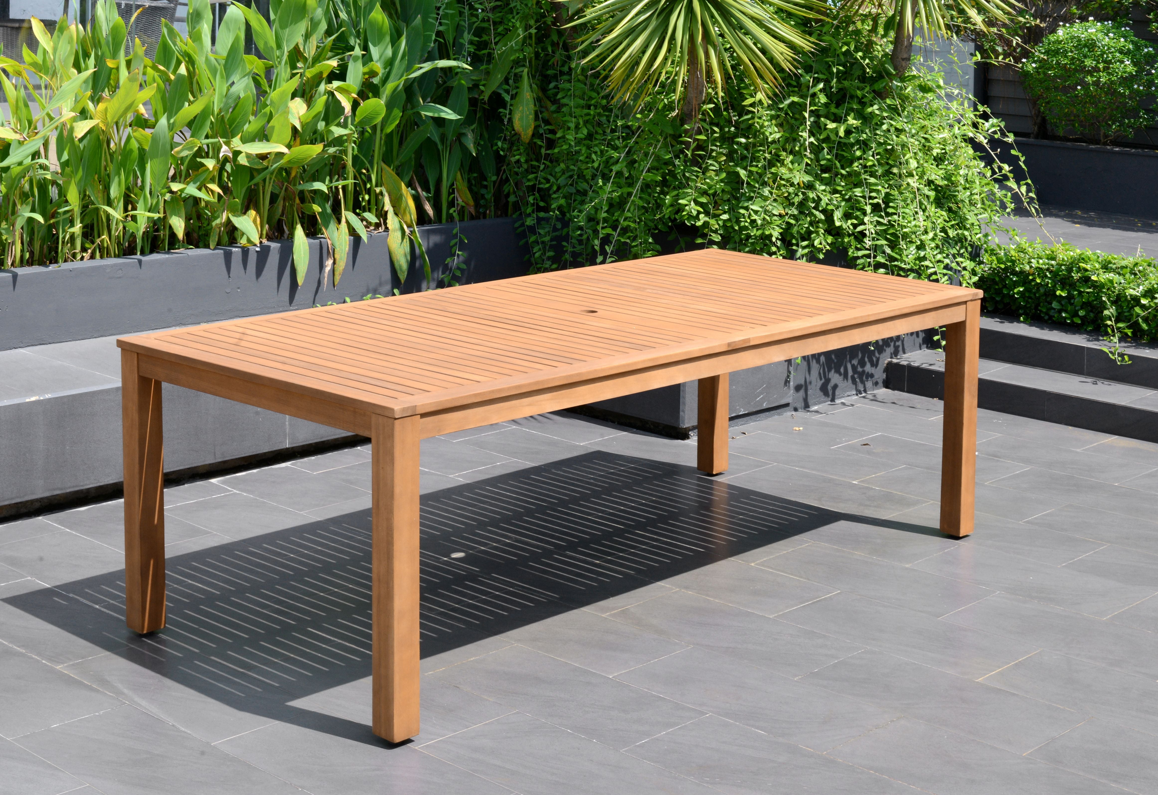 International Home Miami Amazonia 9-Piece Rectangular Patio Dining Set | Teak Finish | Ideal for Outdoors and Indoors