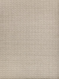 Exquisite Rugs Monroe Silk Handmade Hand Loomed Bamboo Silk and Cotton Area Rug