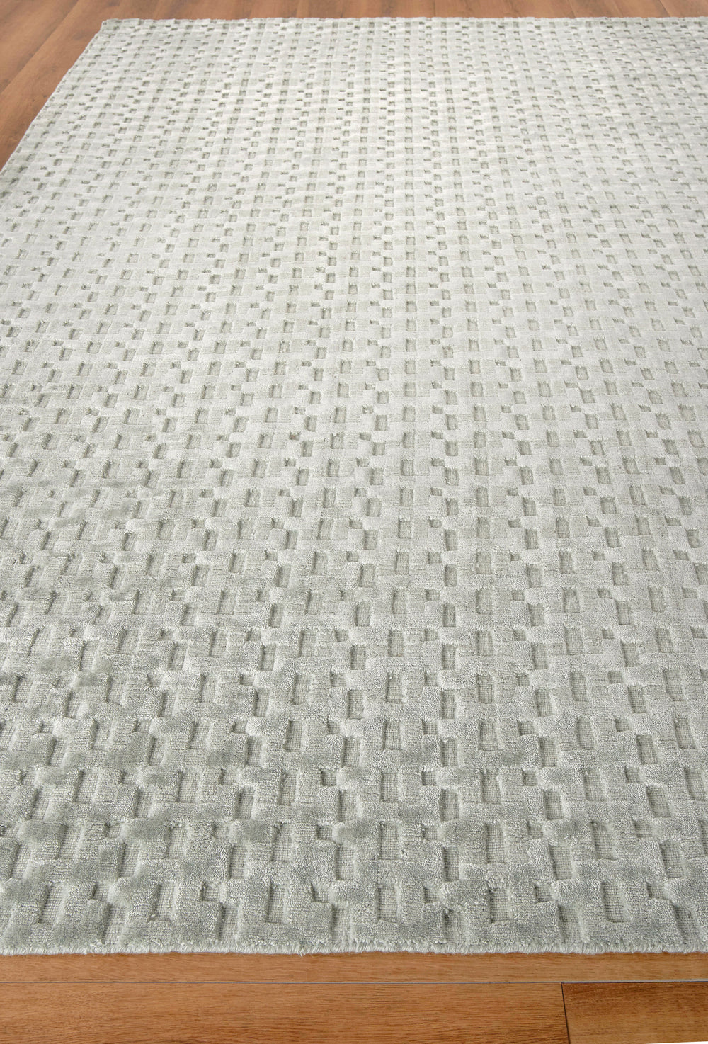 Exquisite Rugs Monroe Silk Handmade Hand Loomed Bamboo Silk and Cotton Area Rug