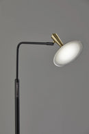 Adesso Lucas LED Floor Lamp