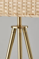 Adesso Bondi Floor Lamp