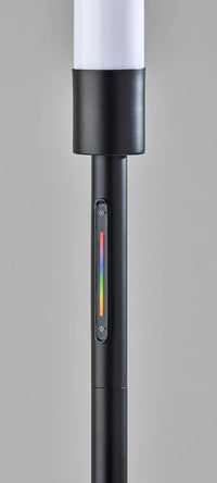 Adesso Collin LED Color Changing Floor Lamp