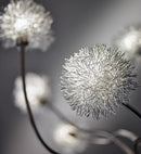 Adesso Pom Pom LED Floor Lamp