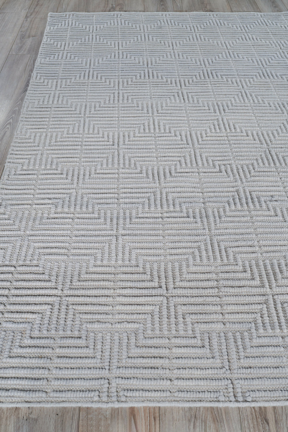 Exquisite Rugs Manzoni Handmade Hand Loomed Viscose and Cotton Area Rug