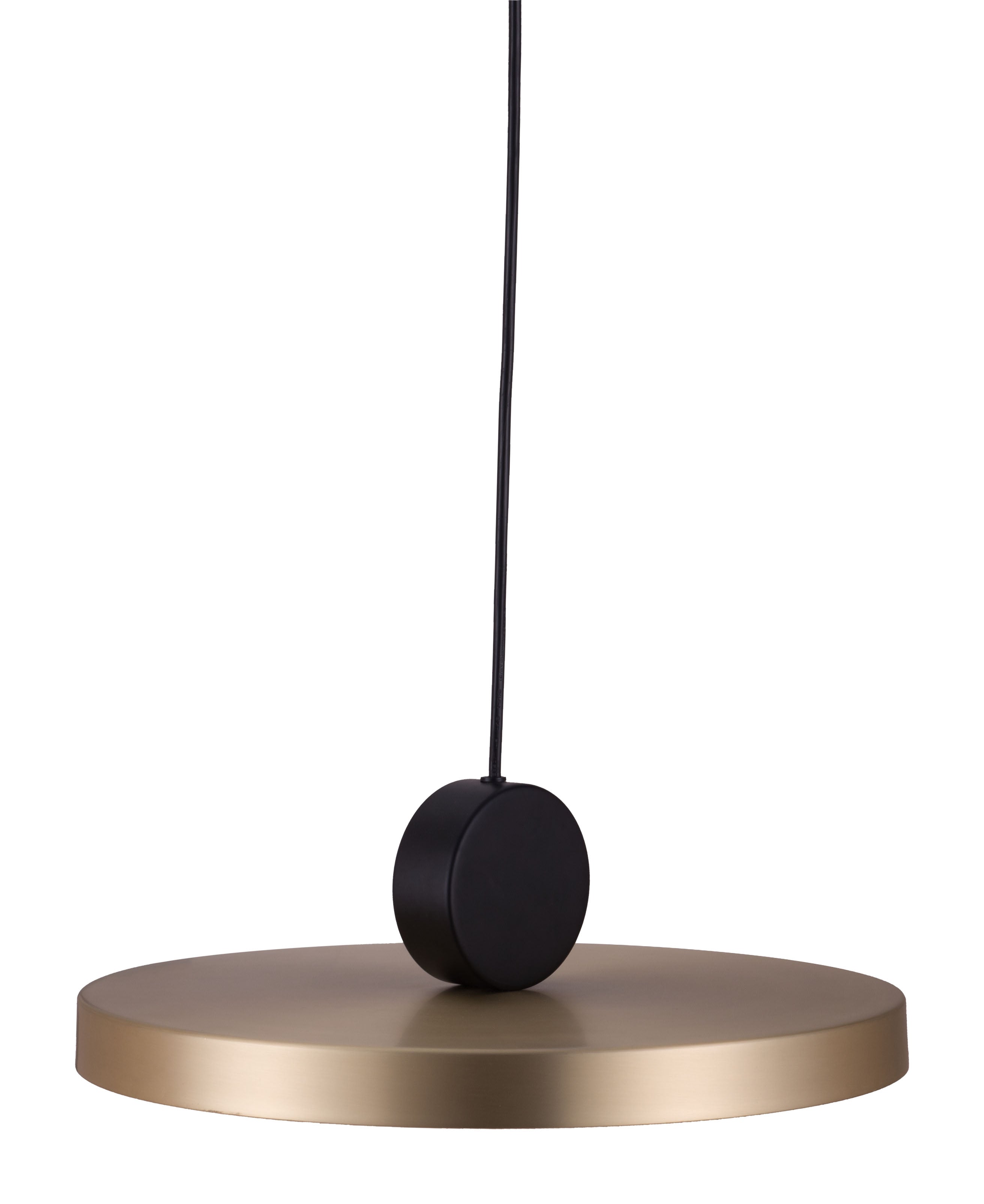 Zuo Modern Mozu Ceiling Lamp Gold And Black
