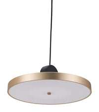 Zuo Modern Mozu Ceiling Lamp Gold And Black