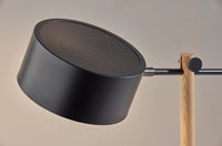 Adesso Dylan Desk Lamp