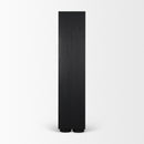 Mercana Tabor Natural Wood With Black Oak Frame Bookcase