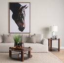 Mercana Jovia Brown Mango Wood With Cappuccino Marble Round Coffee Table