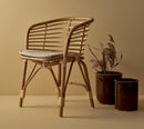 Cane-Line Blend Armchair INDOOR