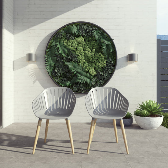 Internaitonal Home Miami Amazonia 2-Piece Chairs Set | Teak Finish/Eucalyptus Wood | Ideal for Outdoors and Indoors