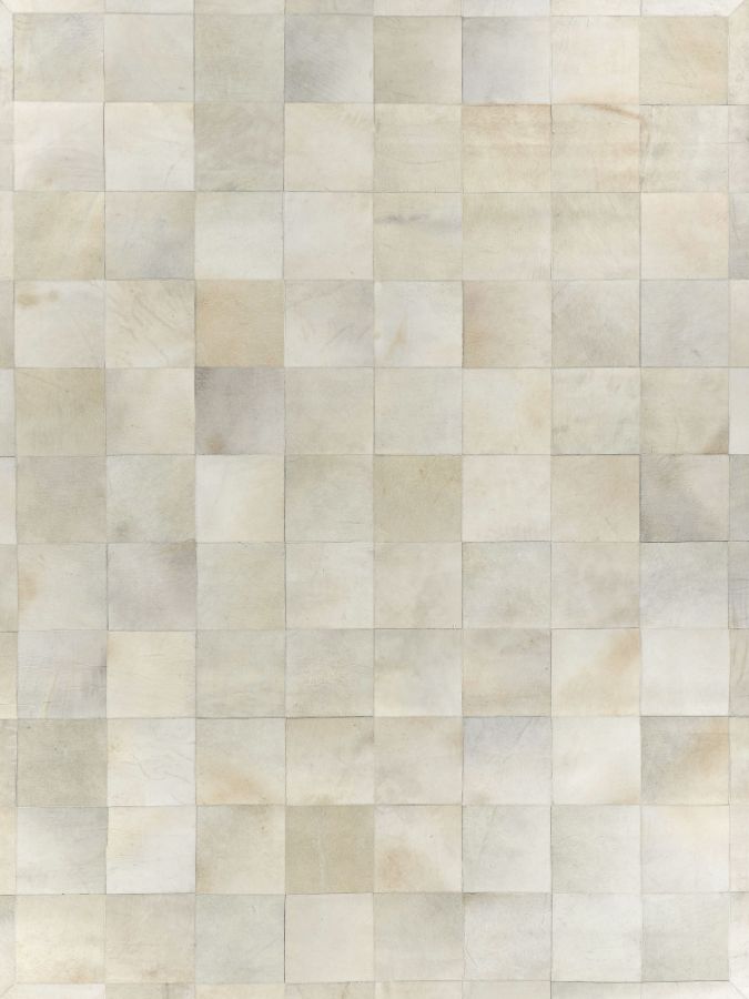 Exquisite Rugs Natural Hide Cowhide Silver Area Rug