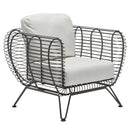 Woodard Latitude Lounge Chair